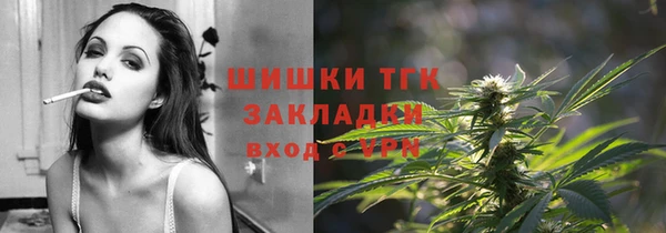 сатива Армянск