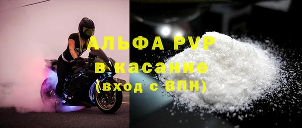 сатива Армянск