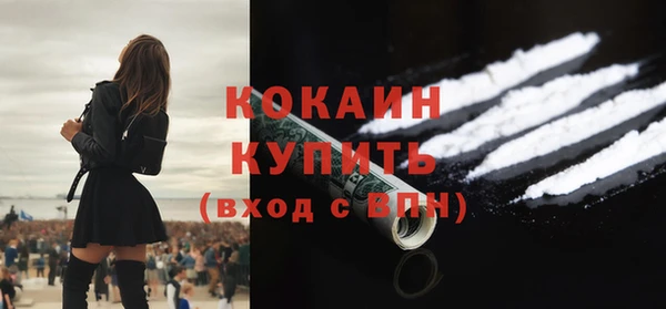 сатива Армянск